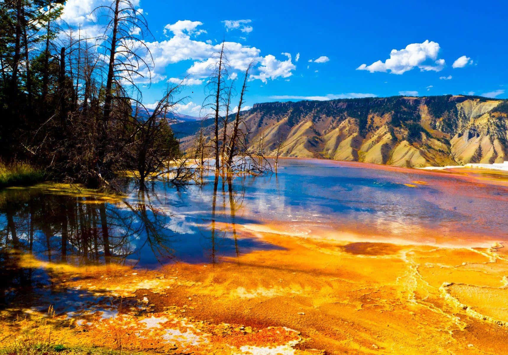 Yellowstone Yellow Surfaced Grand Prismatic Spring Background