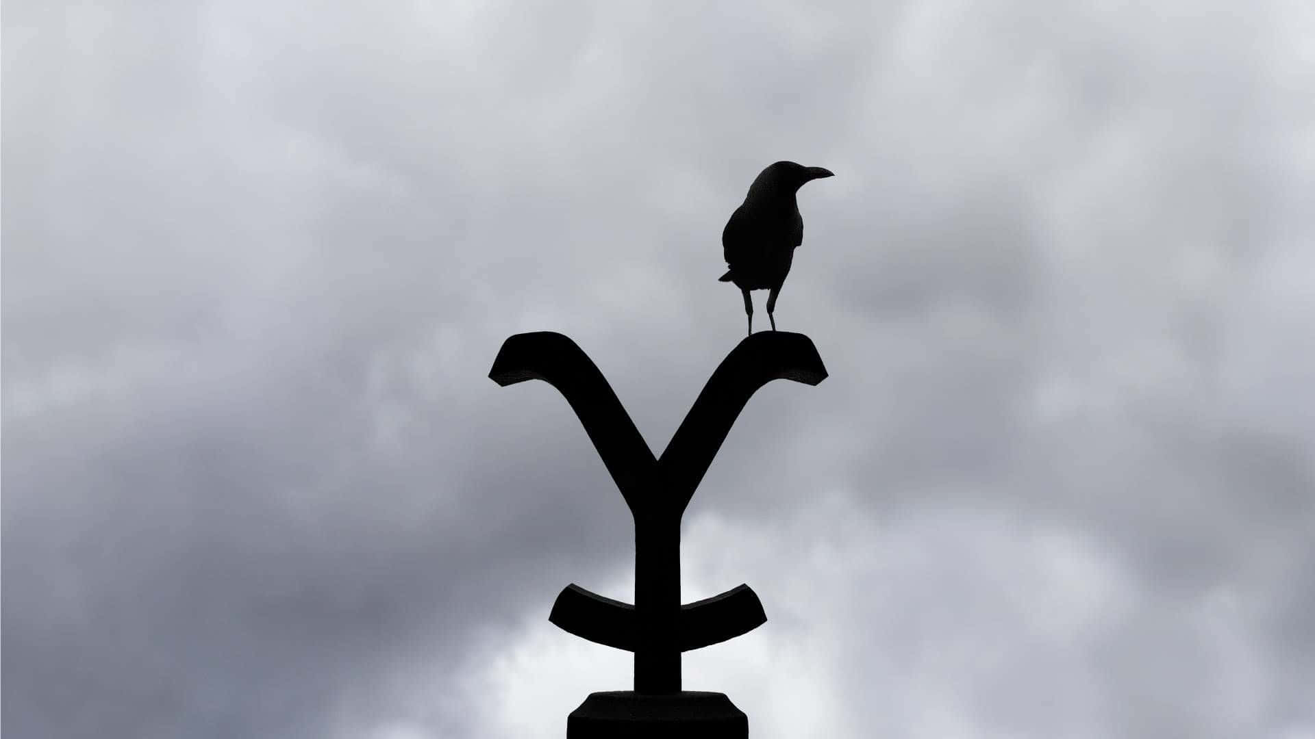 Yellowstone Raven On Top Of Sign Background