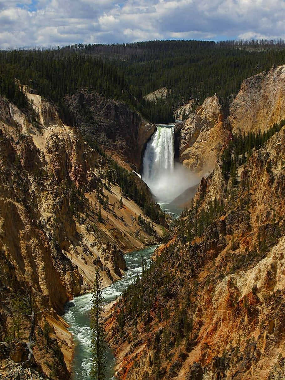 Yellowstone Falls, Yellowstone National Park Wallpaper