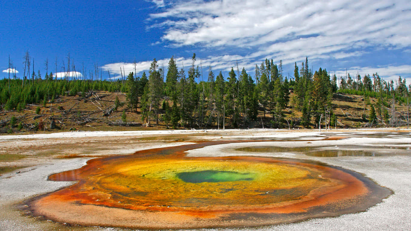 Impresionantevista Del Parque Nacional De Yellowstone Fondo de pantalla