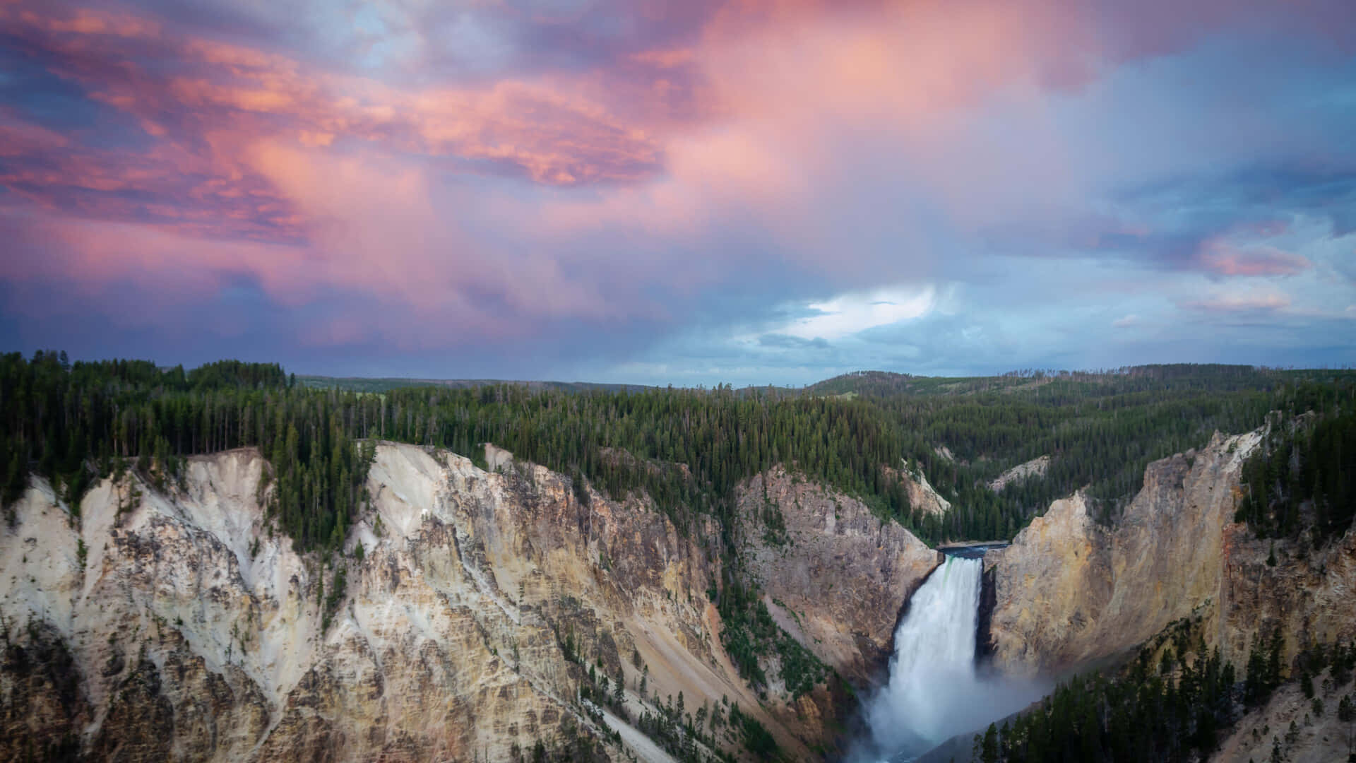 Majestær enlig træ mod det majestætiske Yellowstone himmel Wallpaper