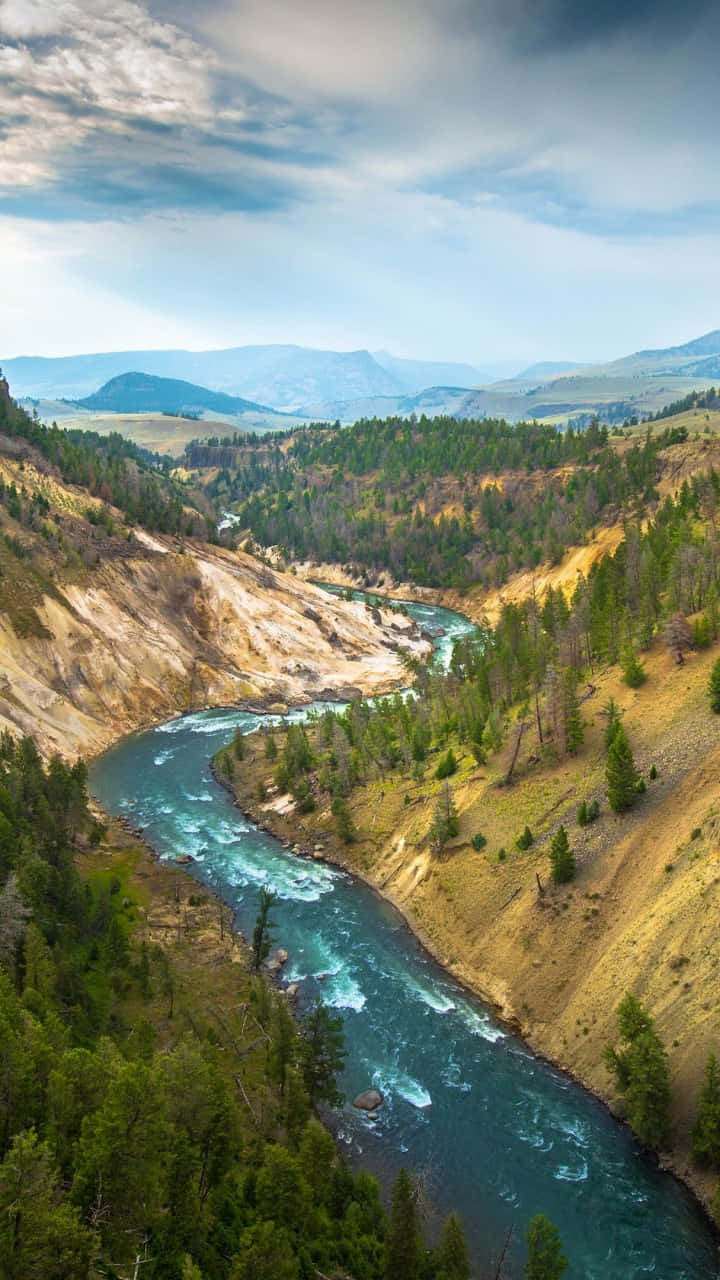 Experience the beauty of Yellowstone National Park Wallpaper