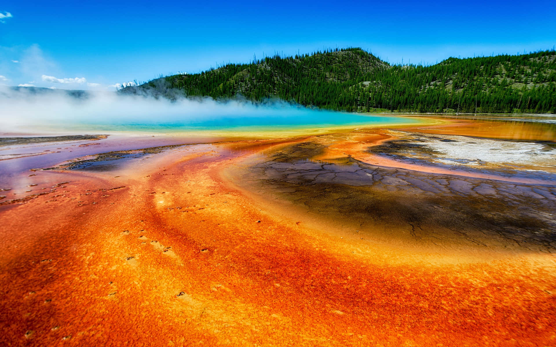 Bijschrift: Adembenemende Eruptie Van Een Geiser In Yellowstone National Park Achtergrond