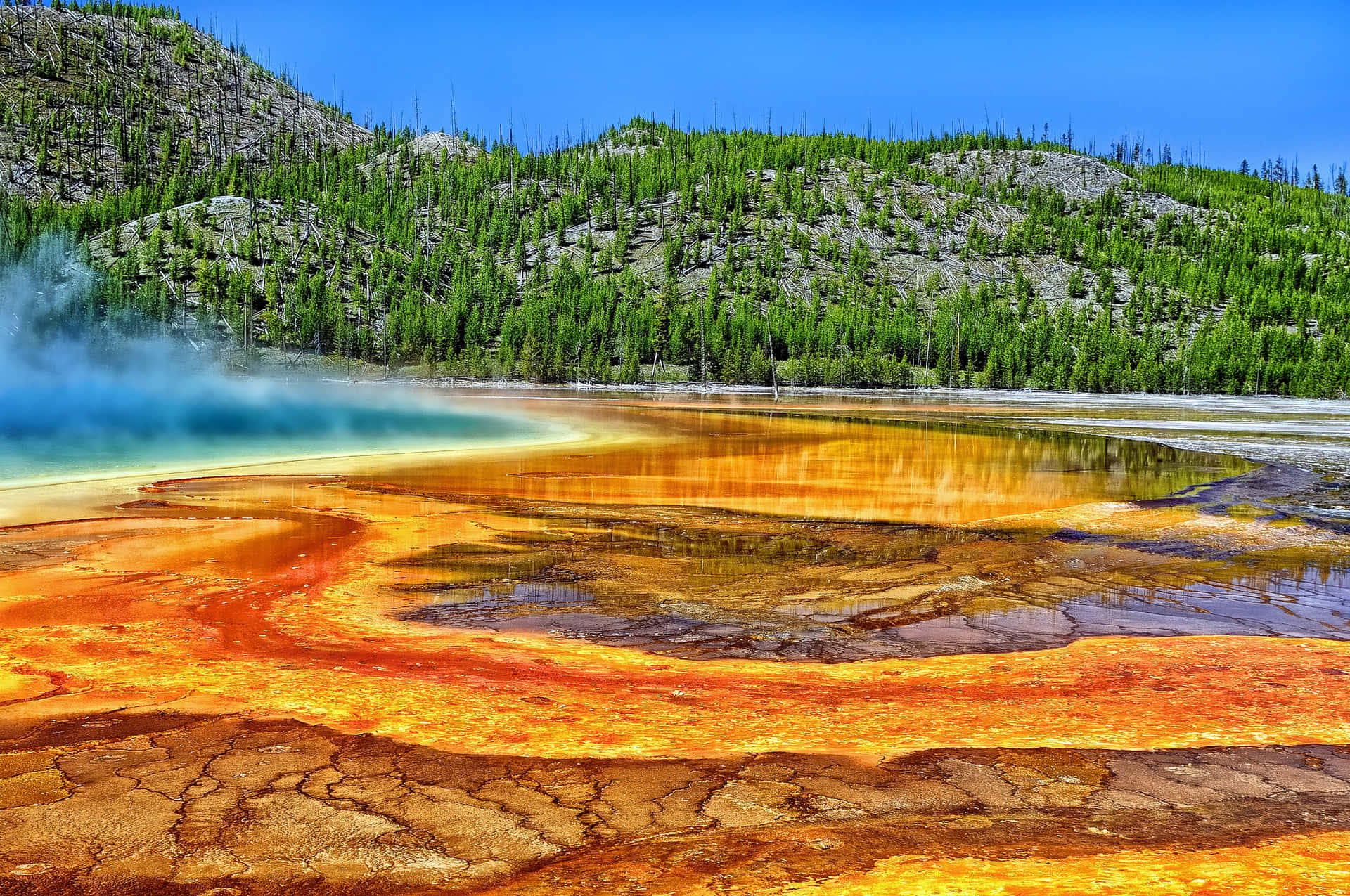 Bliv beundret syn af Yellowstone National Park Wallpaper
