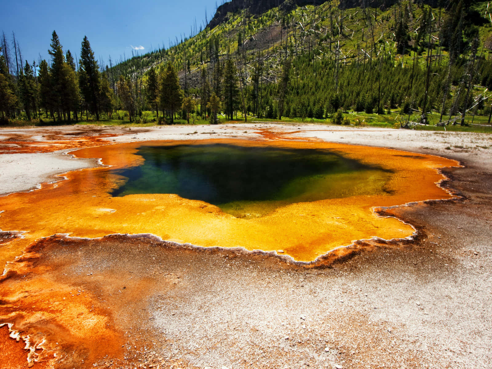 The Spectacular Sights of Yellowstone National Park Wallpaper
