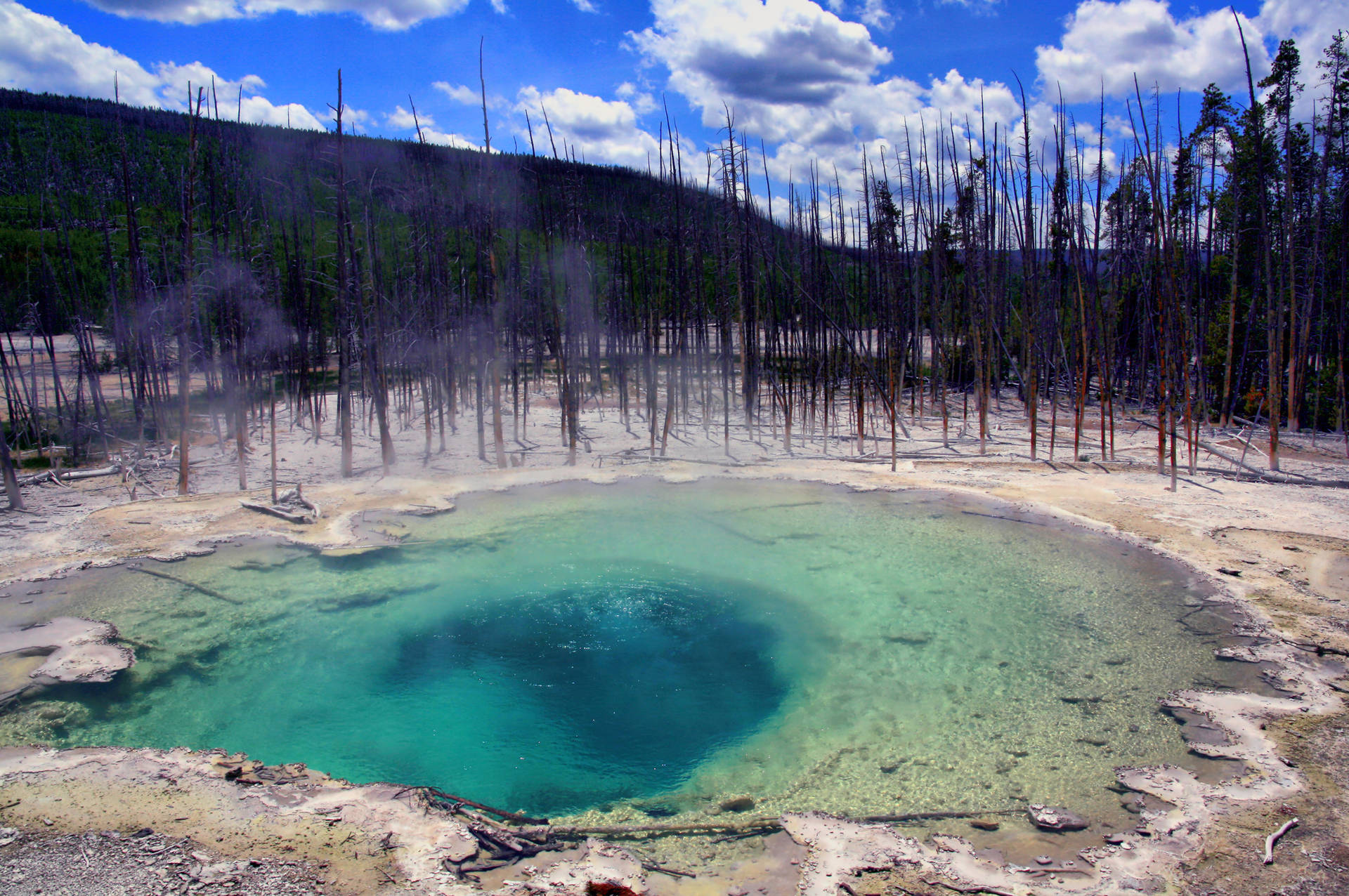 Yellowstone National Park Cistern Spring
