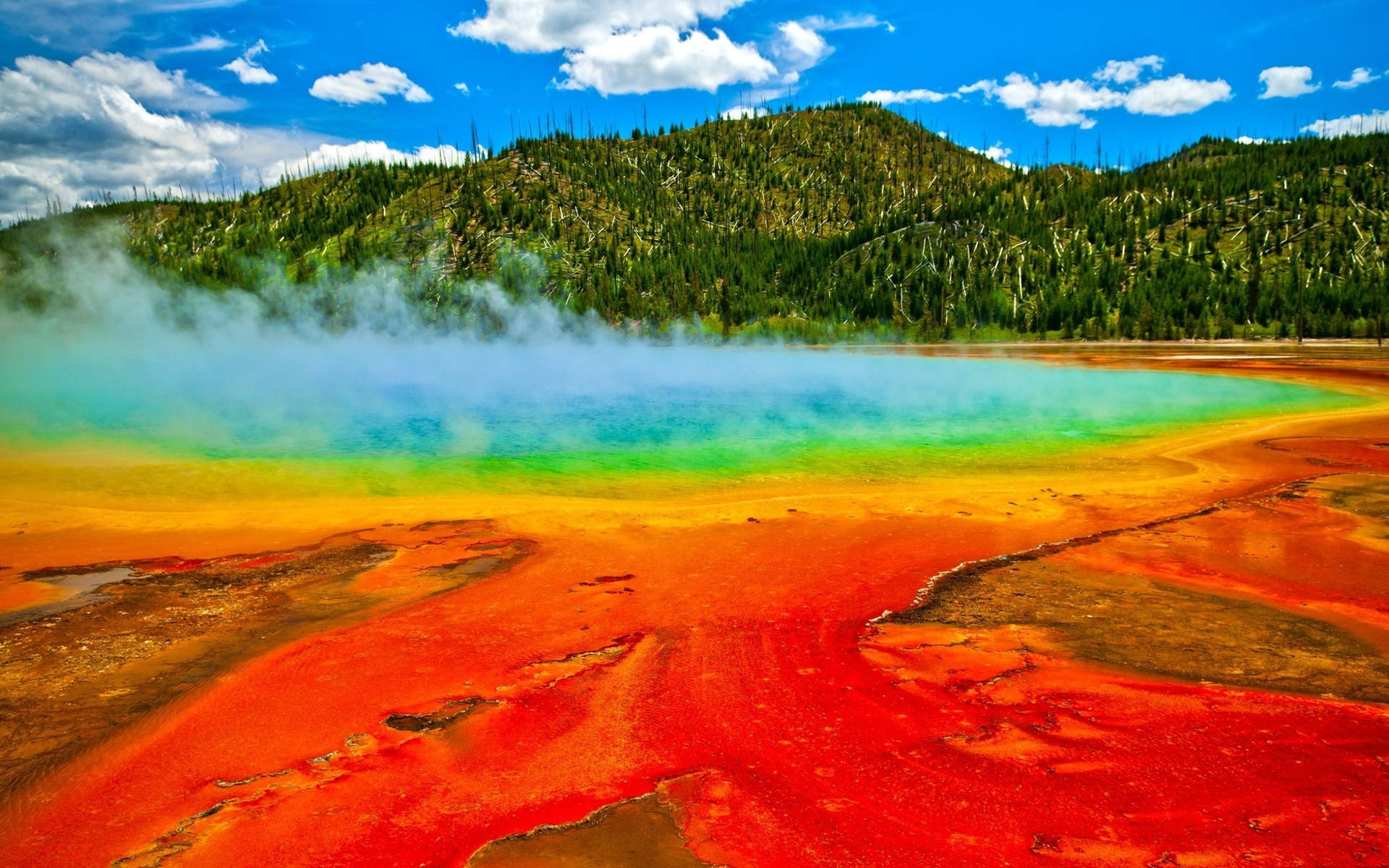 Yellowstone National Park Colorful Spring Wallpaper