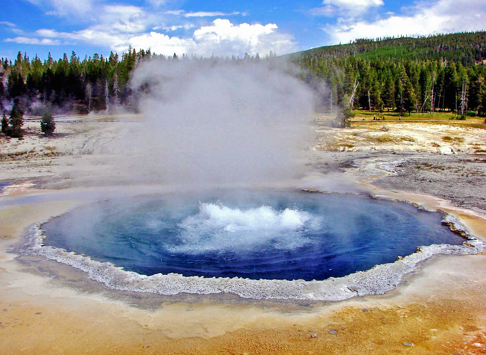 Yellowstone National Park Crested Pool Wallpaper
