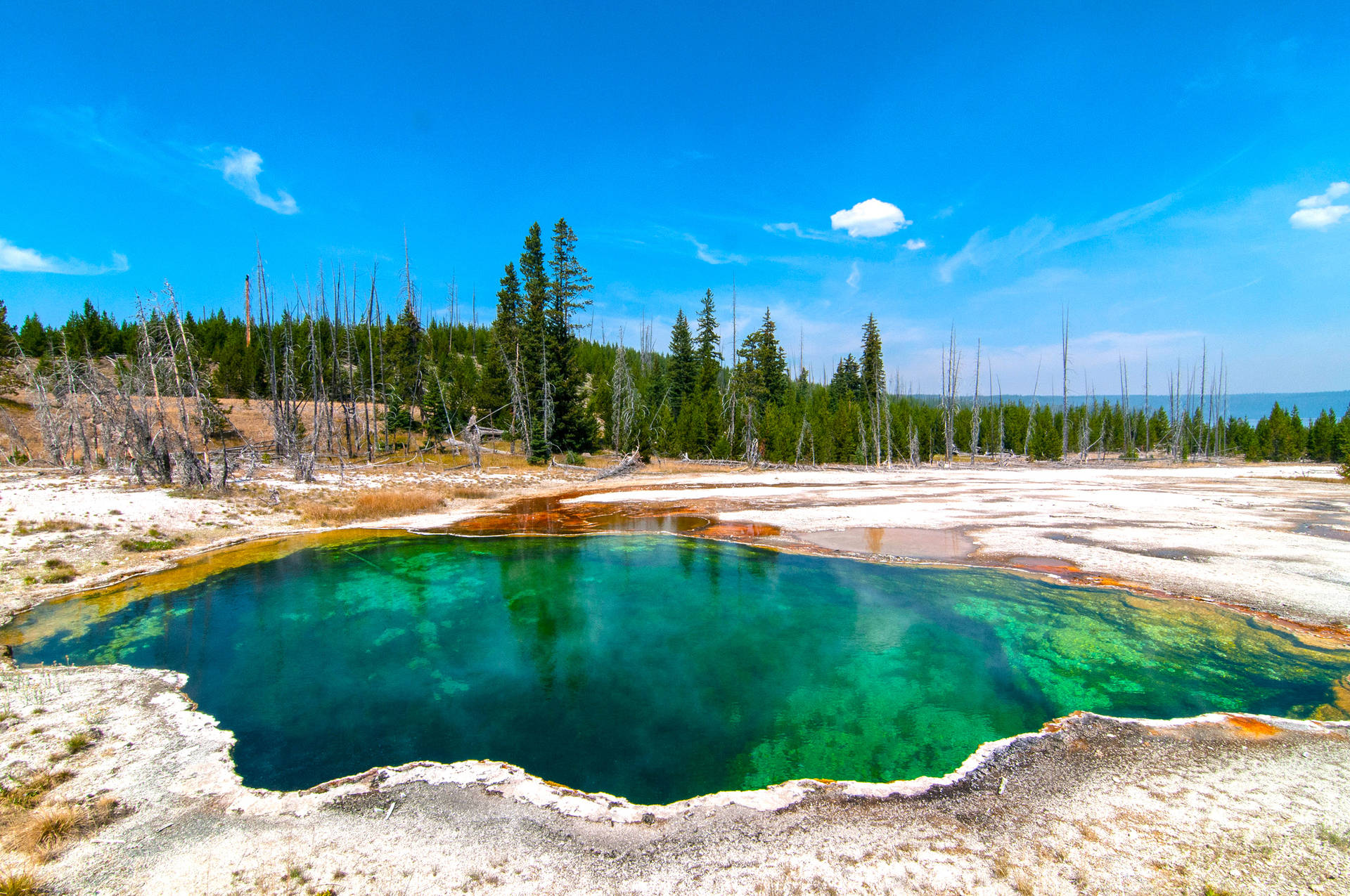 Yellowstone National Park Emerald Pool Wallpaper