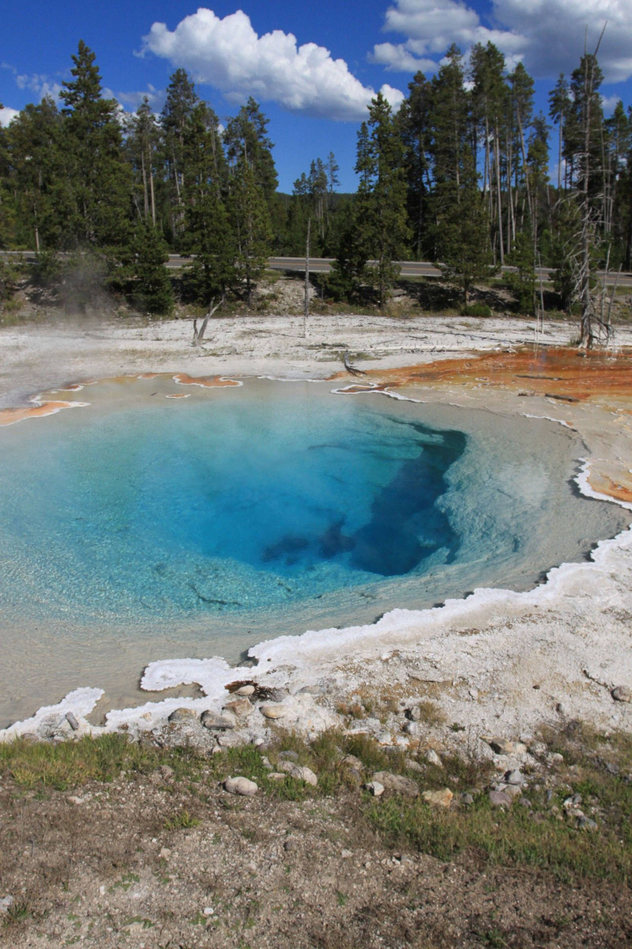 Yellowstone National Park Silex Spring