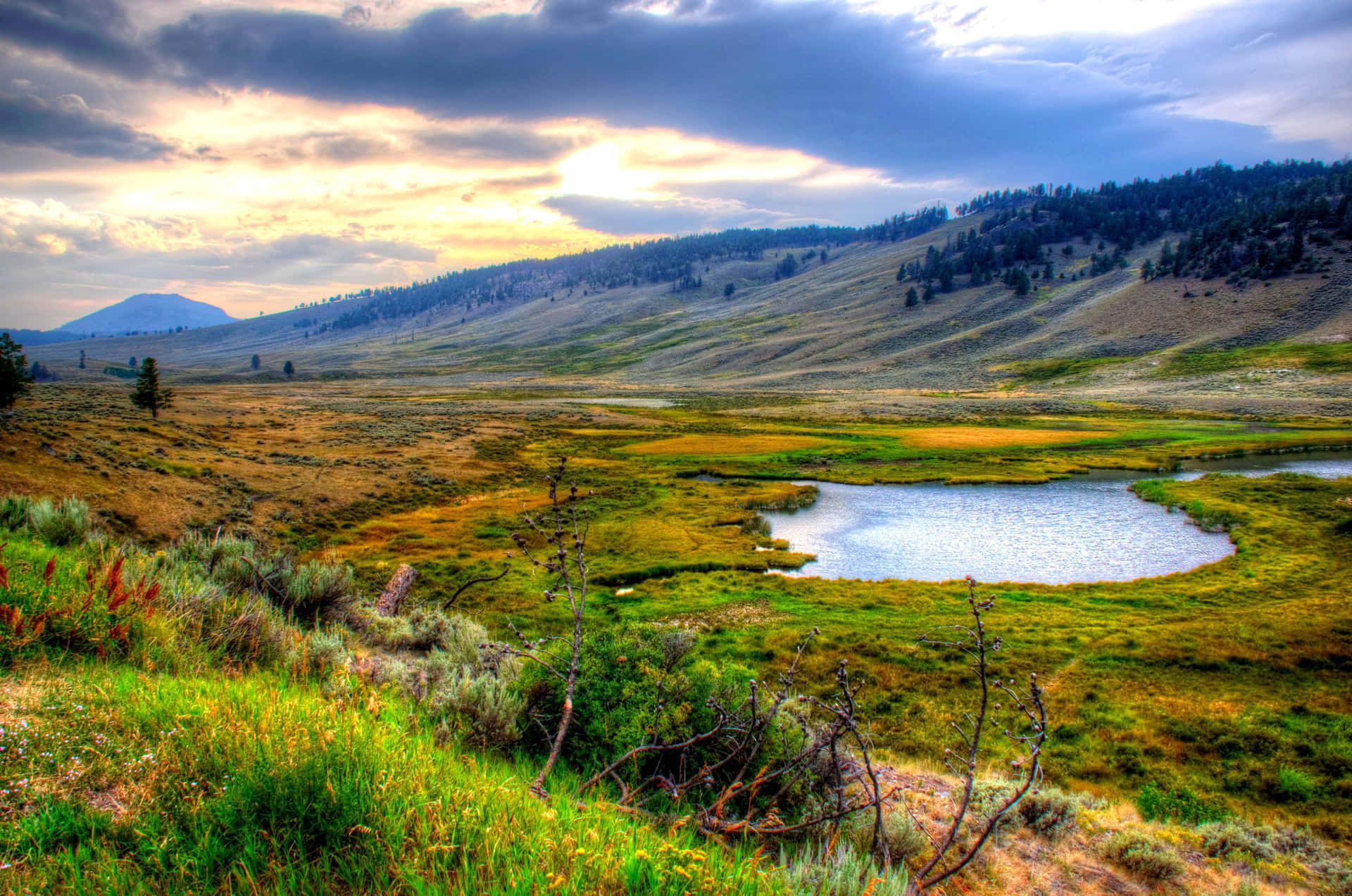 Yellowstone National Park Wide View Wallpaper
