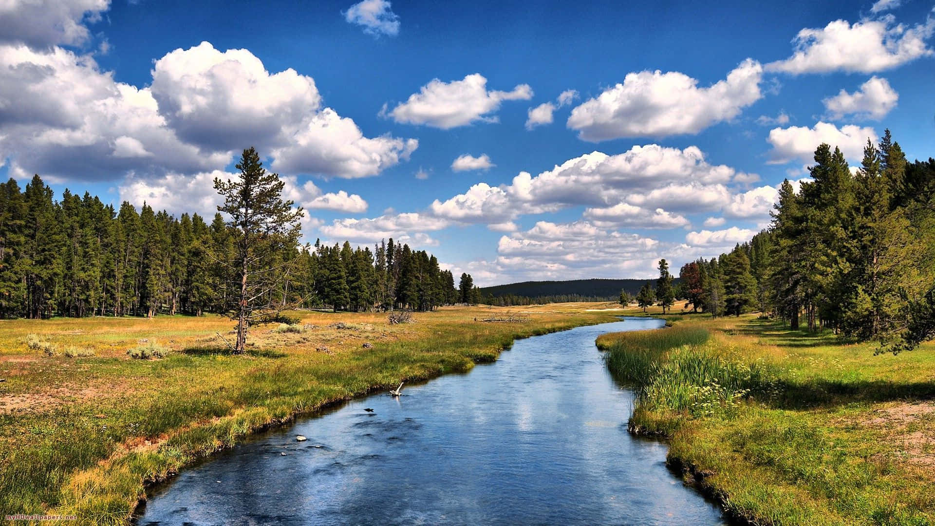 Naturfotografiedes Yellowstone Flusses Wallpaper