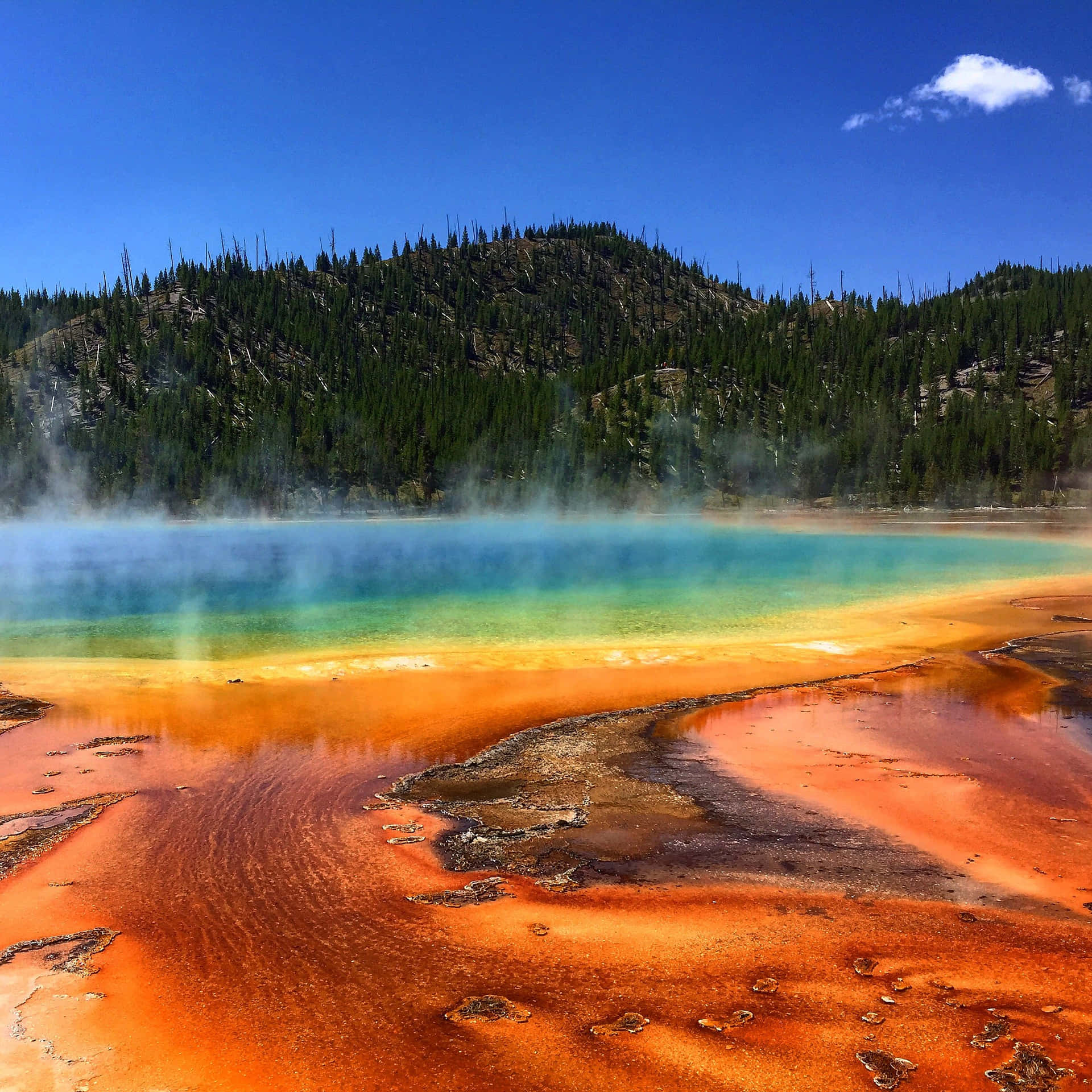 Download Marvel in the breathtaking views of Yellowstone National Park  Wallpaper 
