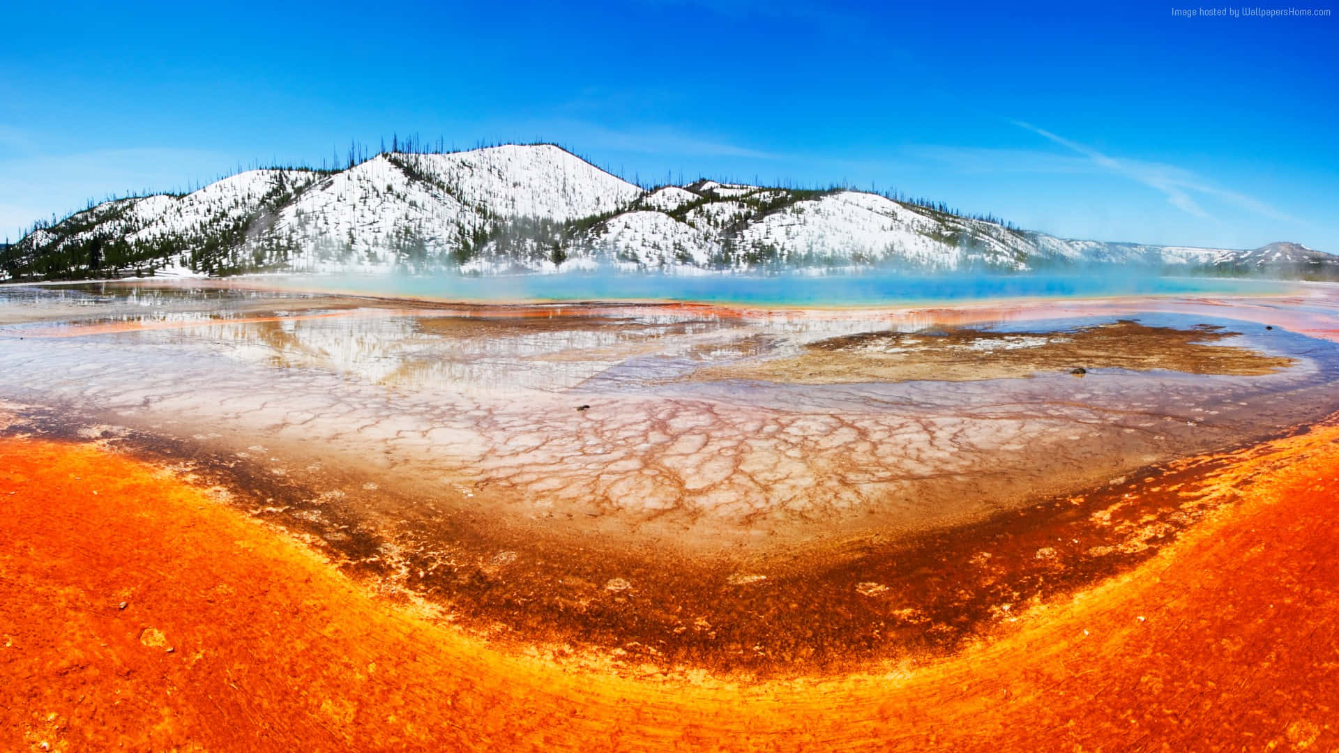 "Stay amazed by the wonders of nature in Yellowstone National Park" Wallpaper