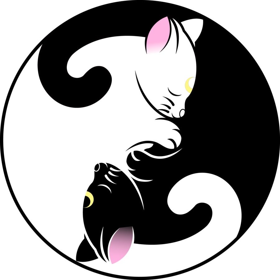 Yin Yang Cats Artwork PNG