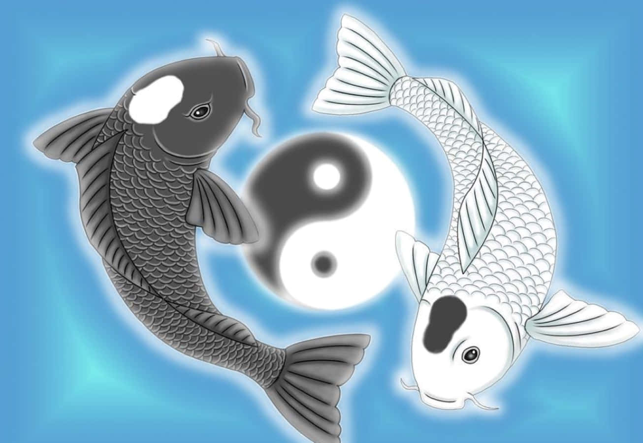 Yin Yang Fish Swimming in Harmony Wallpaper