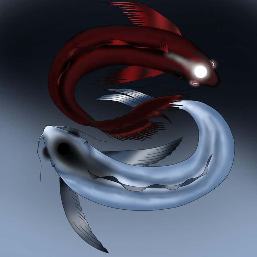 A Balanced Harmony: Yin Yang Fish Wallpaper