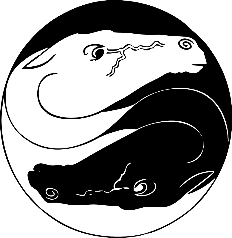 Yin Yang Lizards_ Vector Art PNG