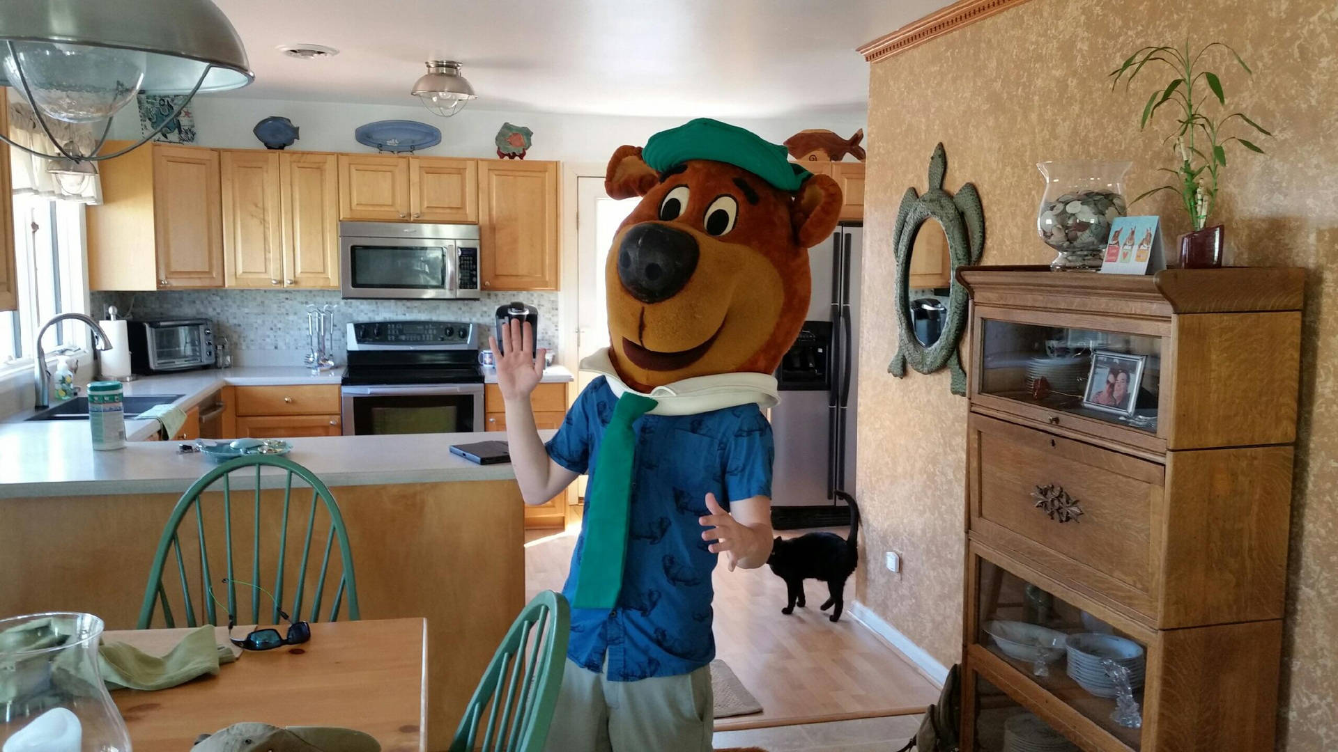 Yogi Bear Mascot Head Background