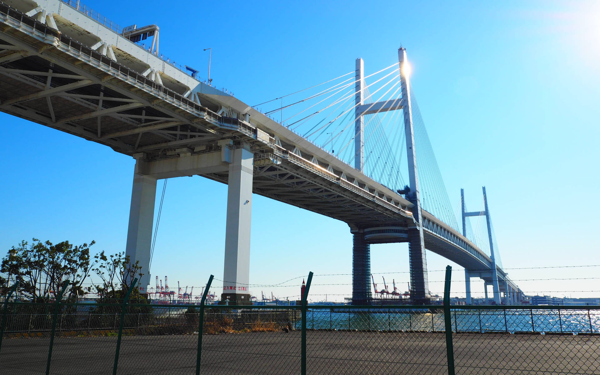 Yokohama-broen I Dagslys