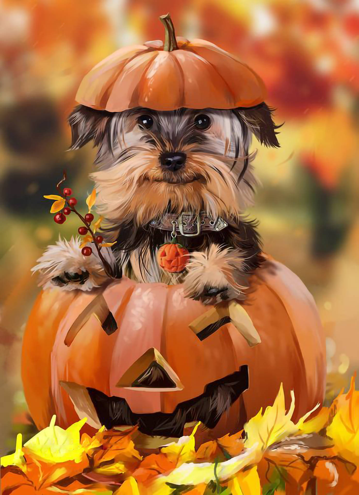 Yorkie Puppy Jack-o'-lantern Wallpaper