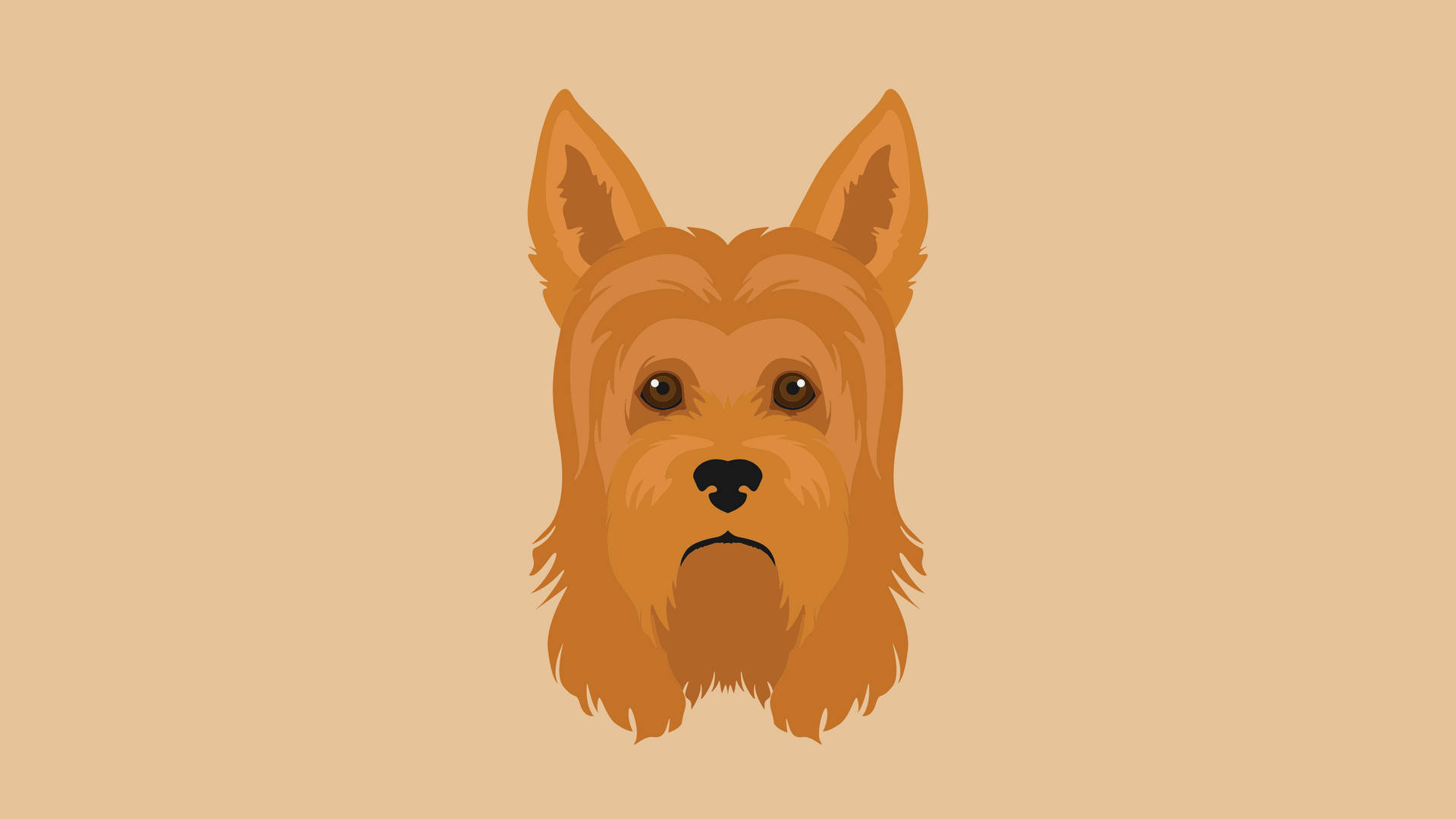 Artedigital De La Cabeza De Un Yorkshire Terrier. Fondo de pantalla