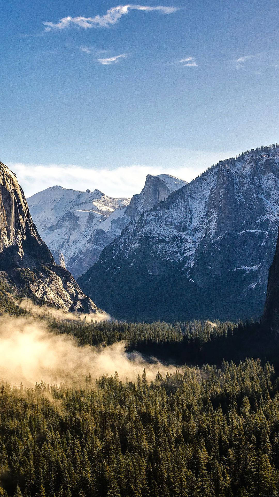 Forestanebbiosa A Yosemite - Iphone Sfondo