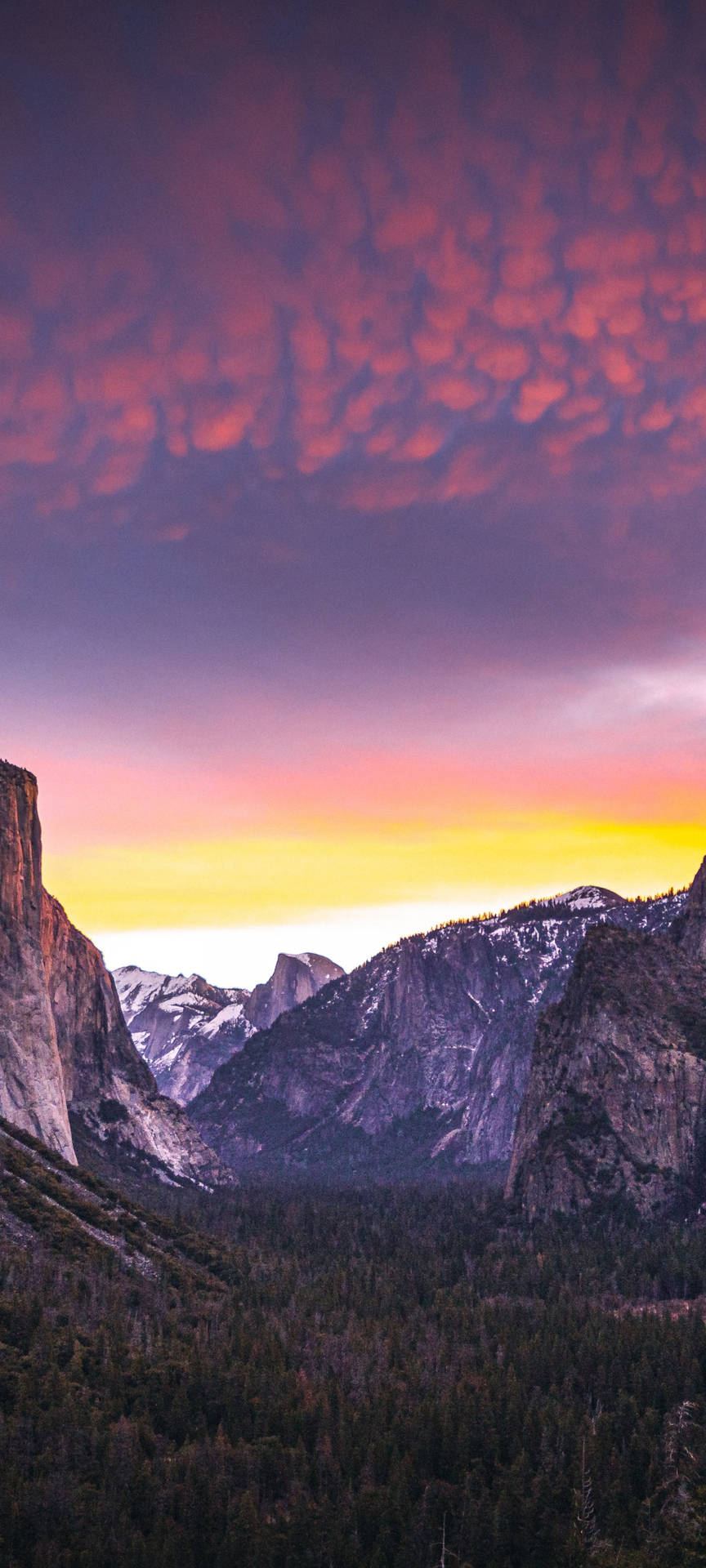 Nyd de smukke udsigter fra Yosemite Nationalpark på din iPhones tapet. Wallpaper
