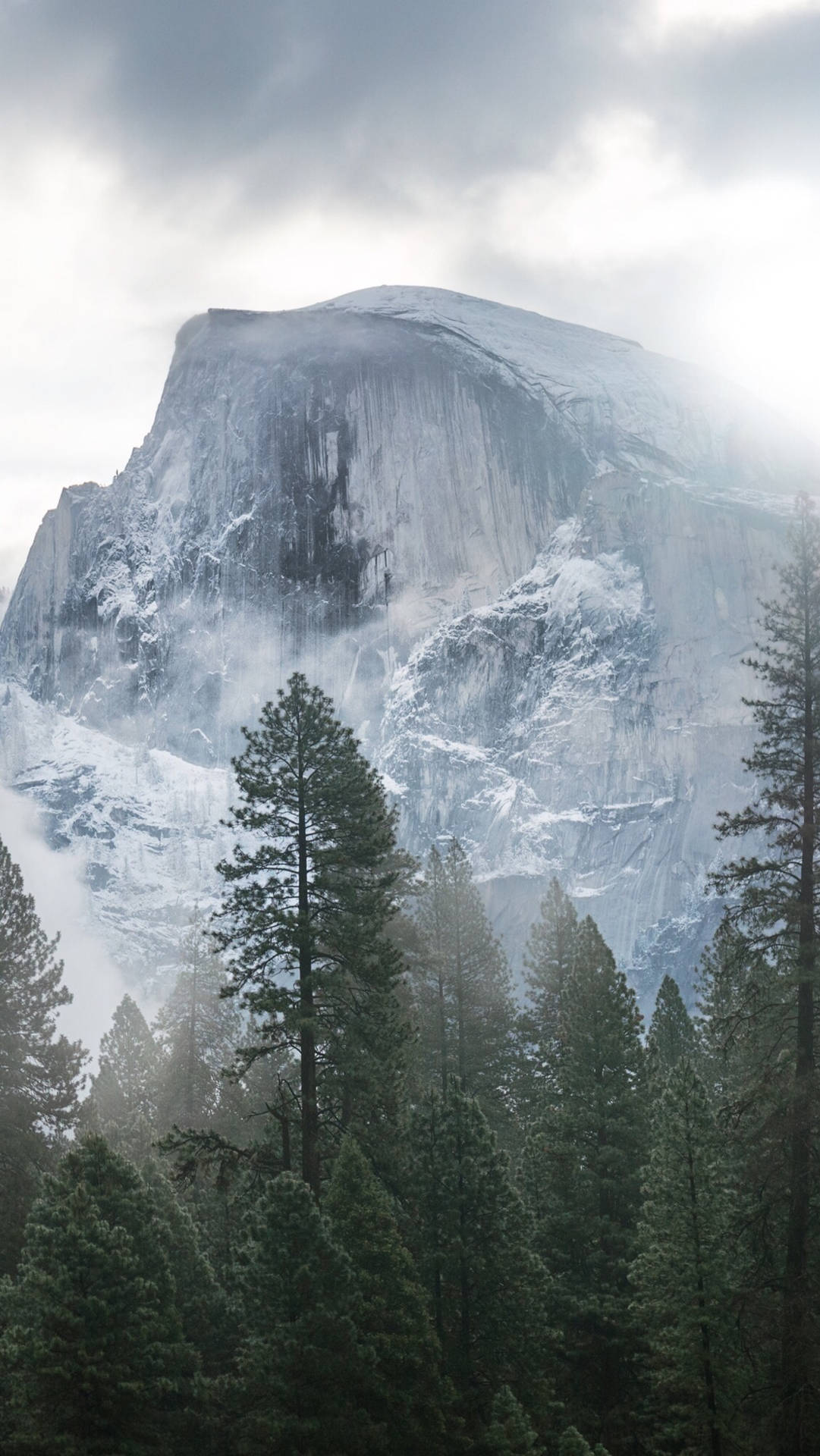 Nyd et idyllisk syn af Yosemite-dalen fra bekvemmeligheden af din iPhone. Wallpaper