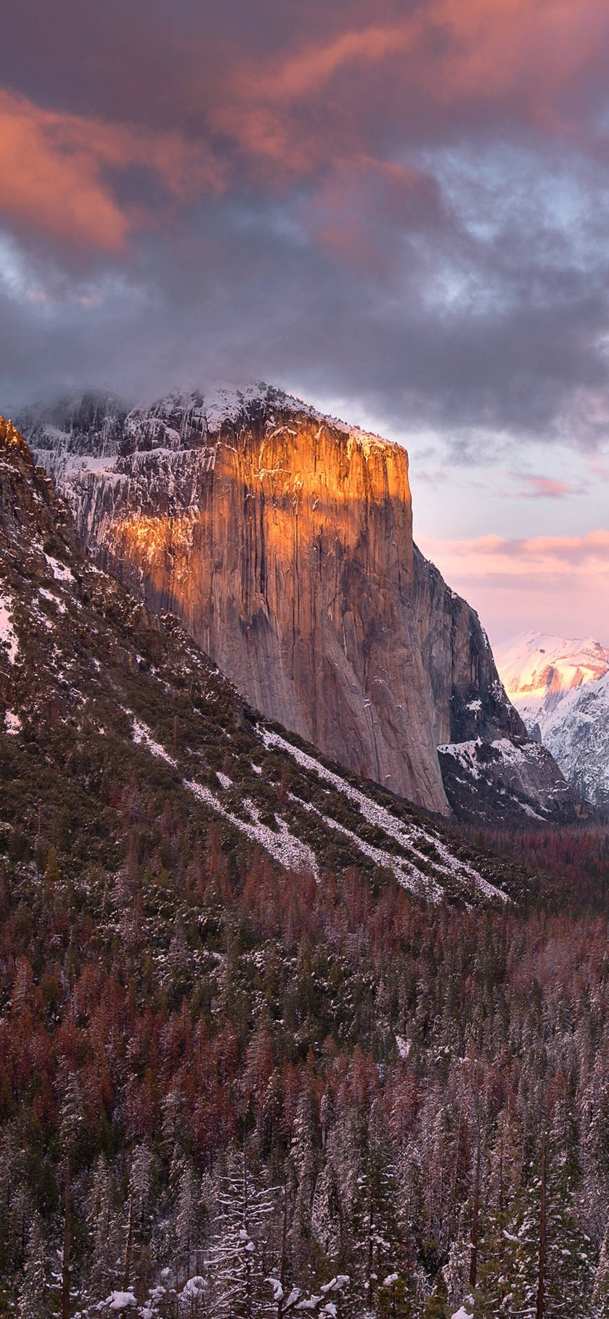 En smuk udsigt af Yosemite National Park set gennem linsen af en Iphone Wallpaper
