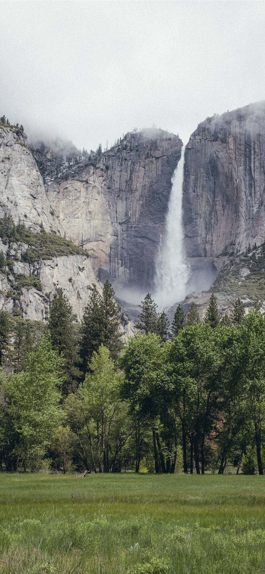 Slap af og nyd det fantastiske udsigt til Yosemite Nationalpark med din iPhone. Wallpaper