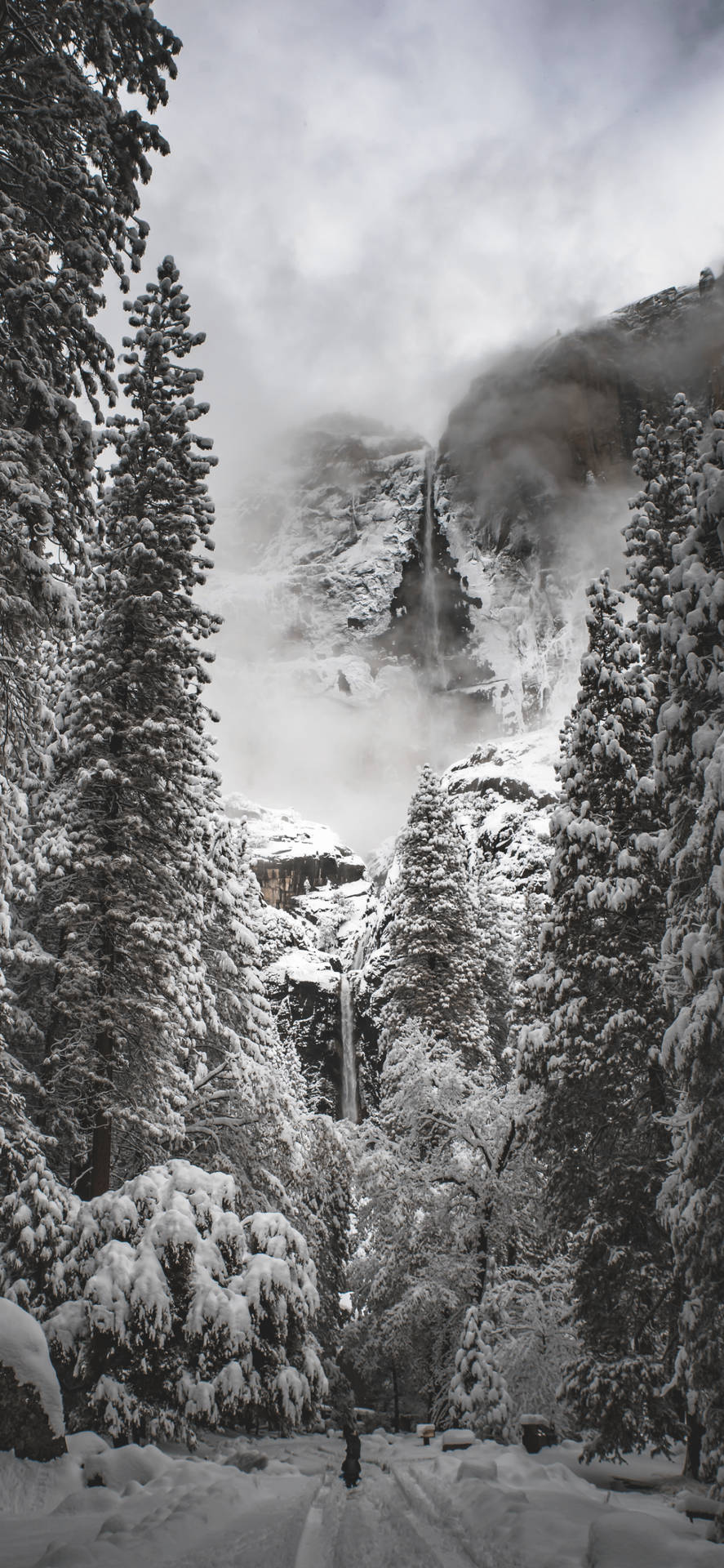 Black-and-white Yosemite Iphone Wallpaper
