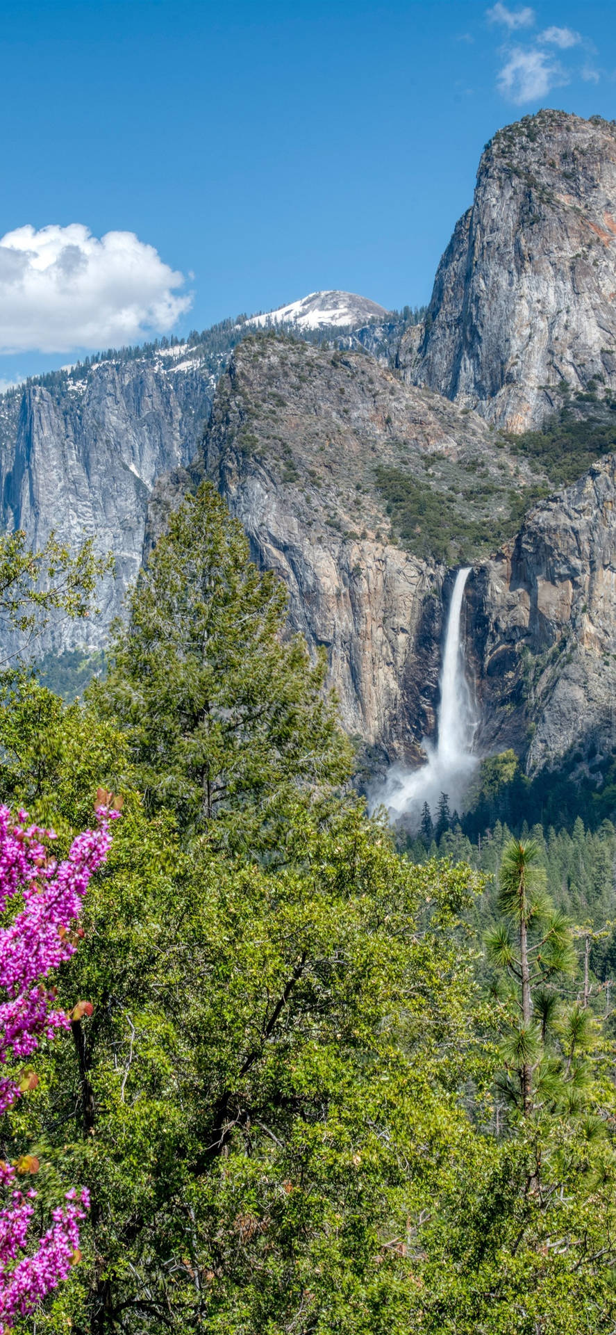Få det seneste Yosemite Iphone for at opleve højderne af teknologi Wallpaper