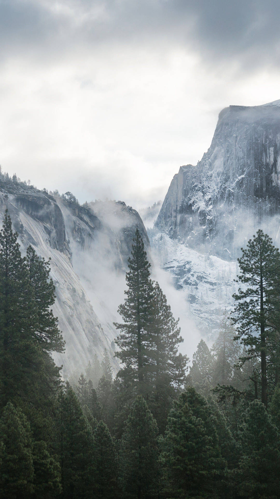 Winter At Yosemite Iphone Wallpaper
