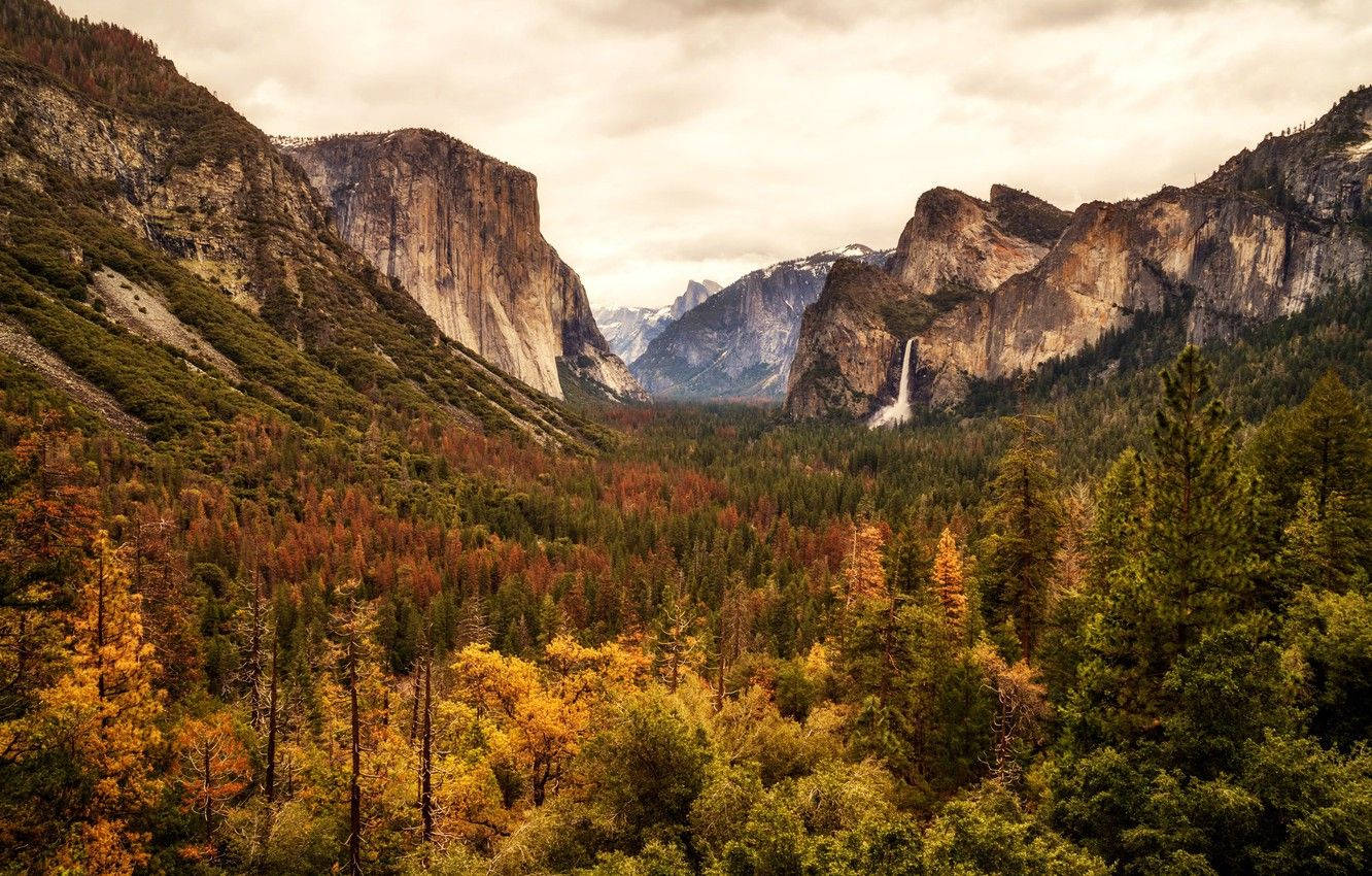 Herbstfarbendes Yosemite-nationalparks Wallpaper