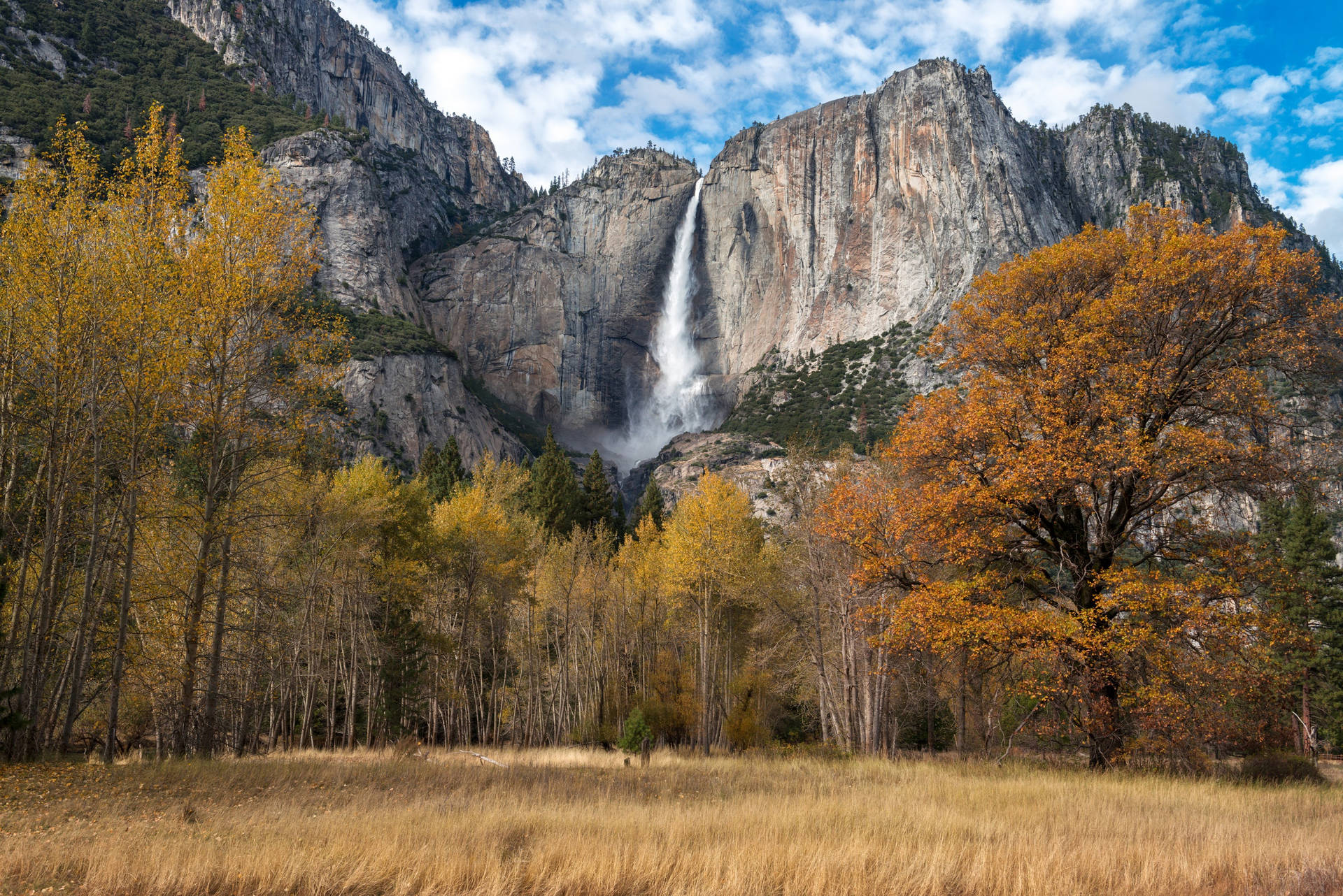 Yosemite National Park Earth Colors Wallpaper