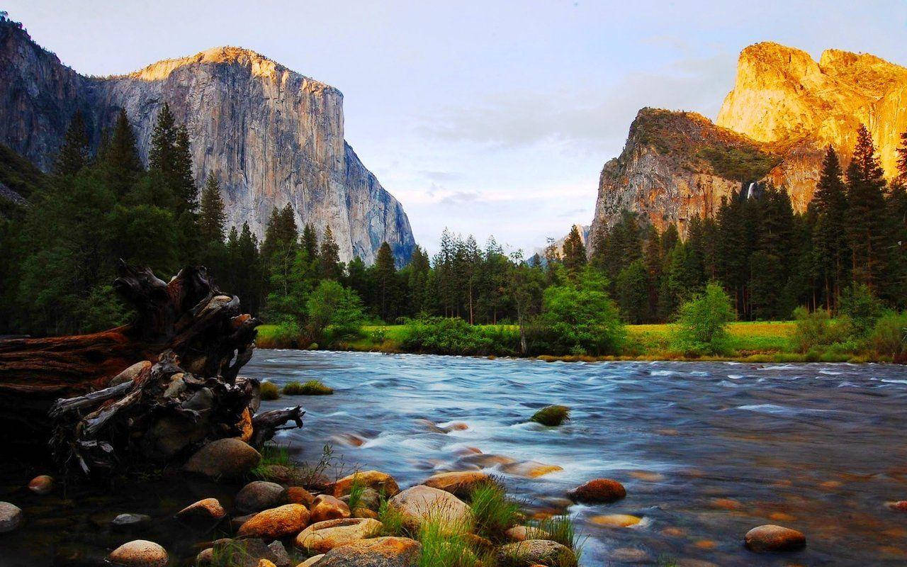 Parquenacional Yosemite, Sol Dorado Fondo de pantalla