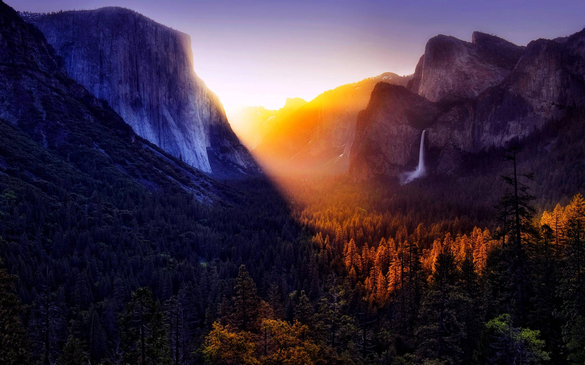 Yosemite National Park Golden Sunset Wallpaper