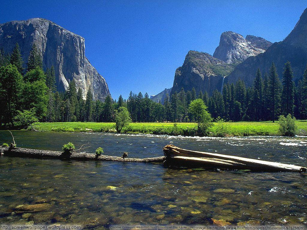Yosemitenationalpark Fluss Wallpaper