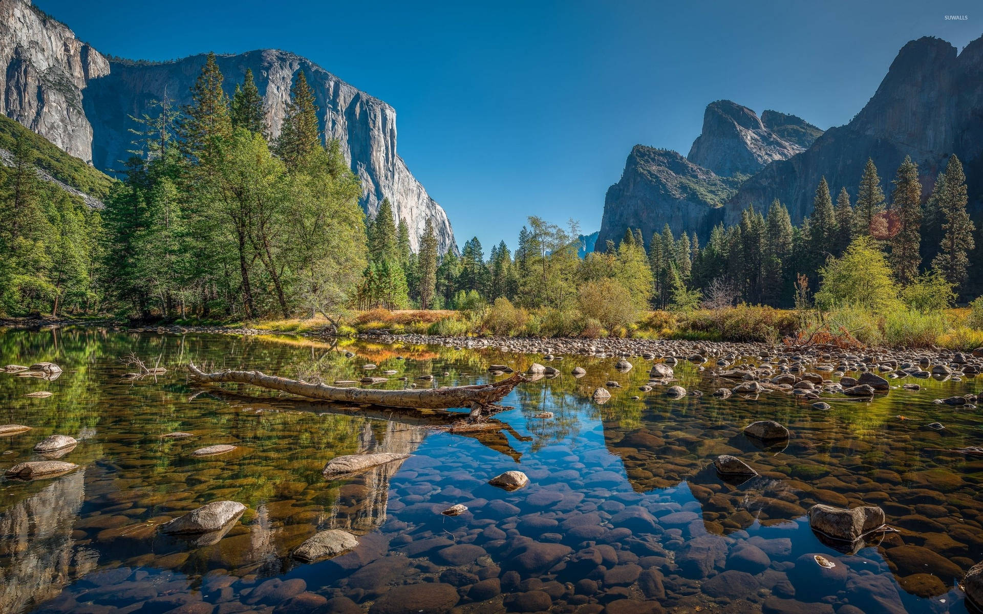 Yosemite Park And River Wallpaper