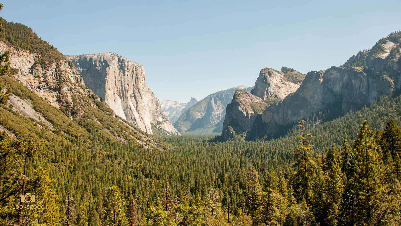 Yosemite_ Valley_ Viewpoint_ Scenery Wallpaper