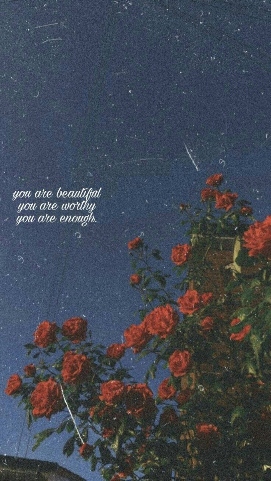 You Are Beautiful Red Roses