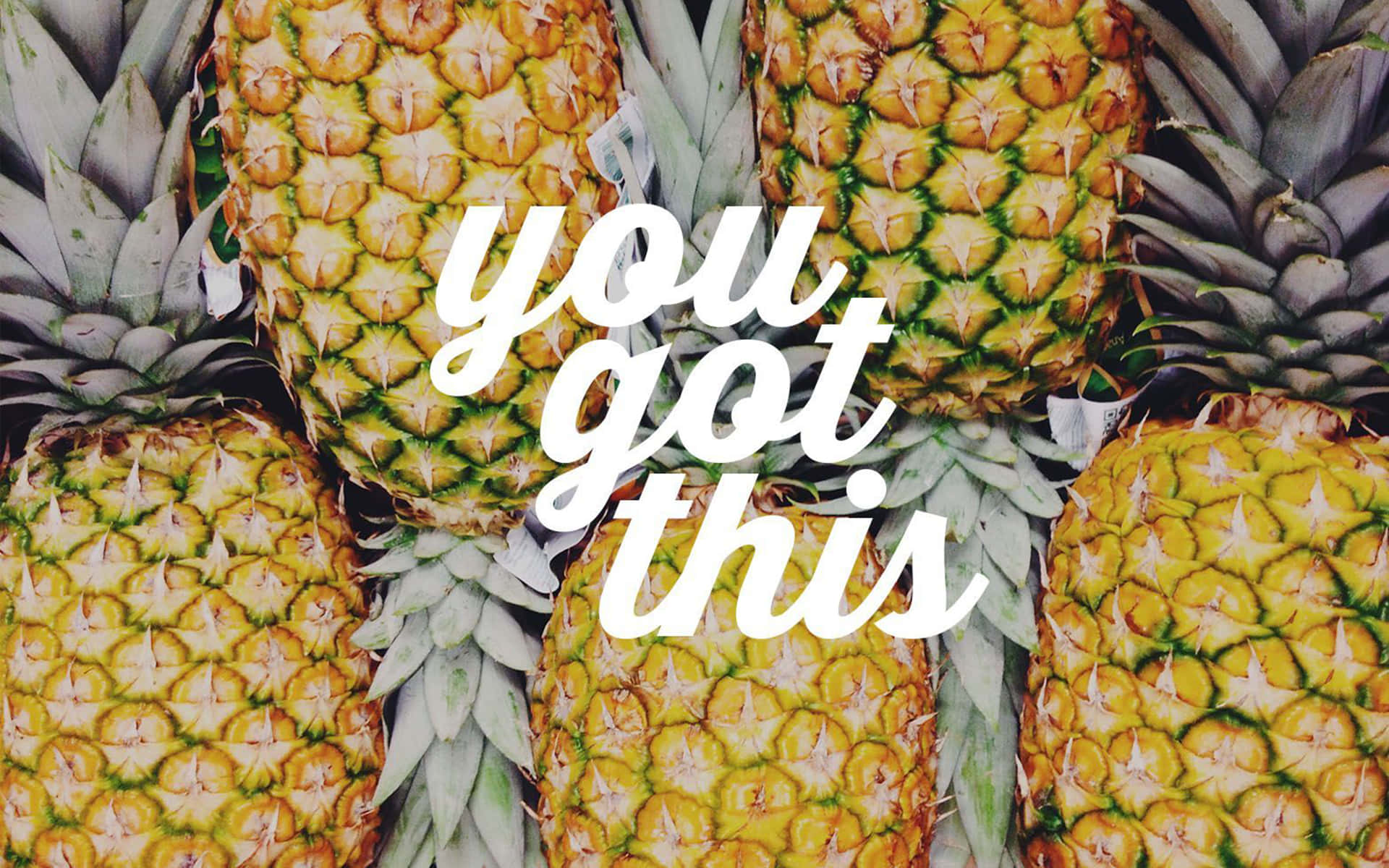 Pineapples With The Words You Got This Wallpaper