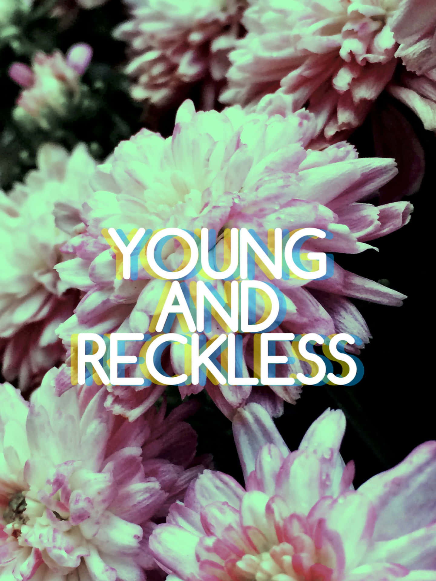 Young And Reckless Quote Wallpaper