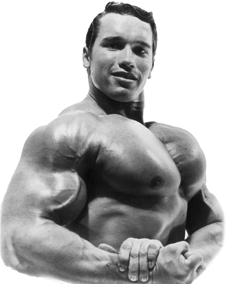 Download Young Arnold Schwarzenegger Bodybuilding Pose | Wallpapers.com