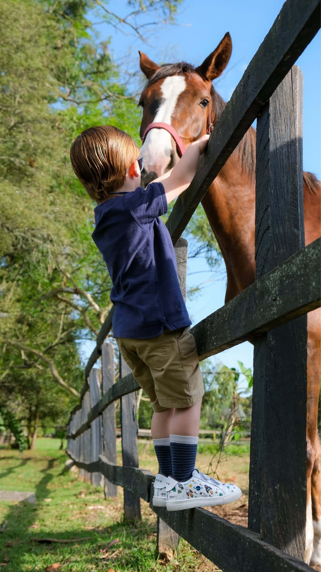 Young Boyand Horse Bonding Wallpaper