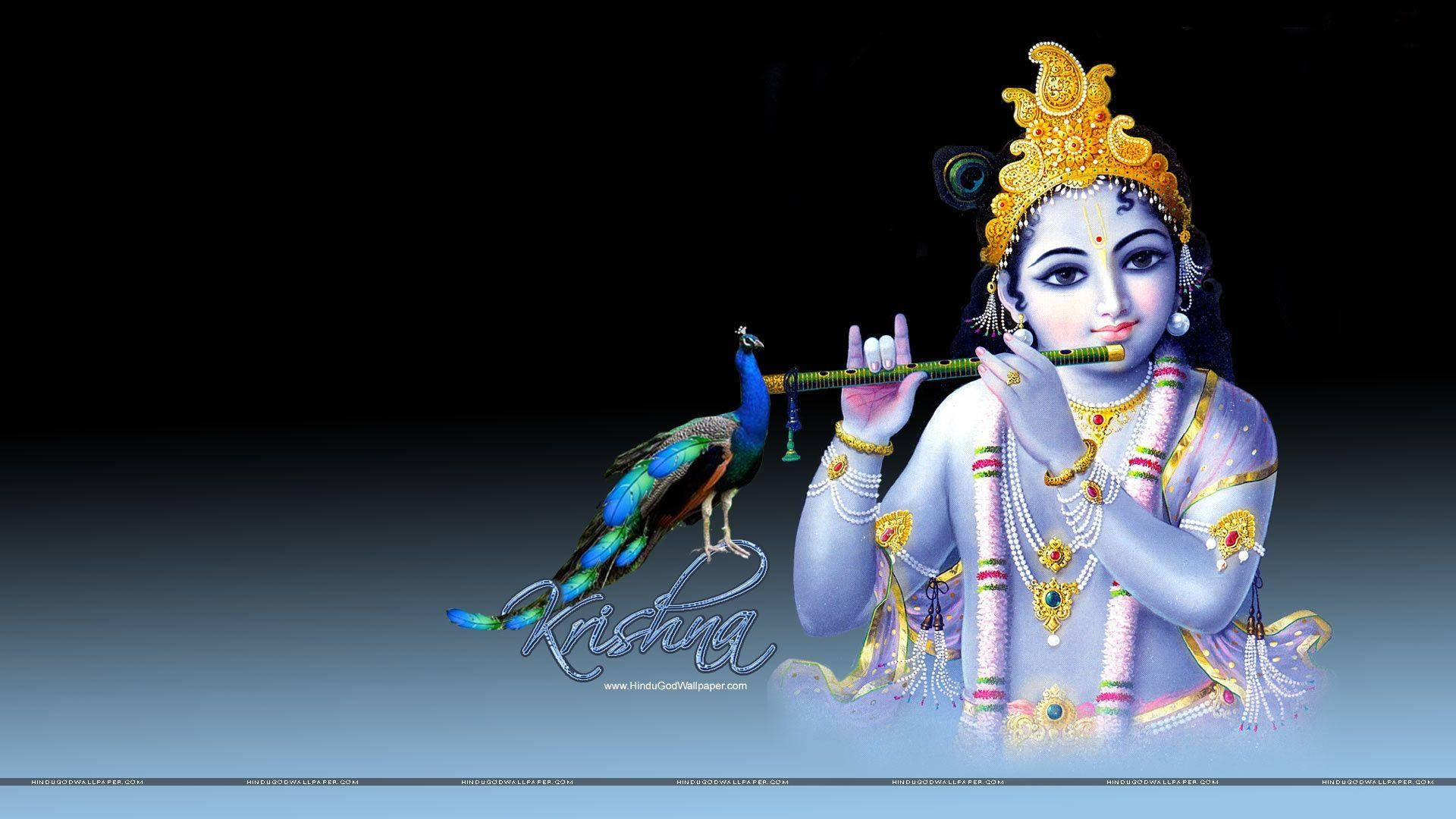 Young Deity Krishna Desktop Wallpaper
