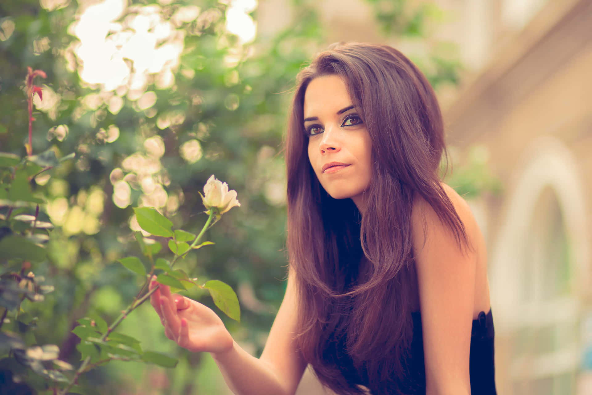 Young Female Model Holding Rose Wallpaper