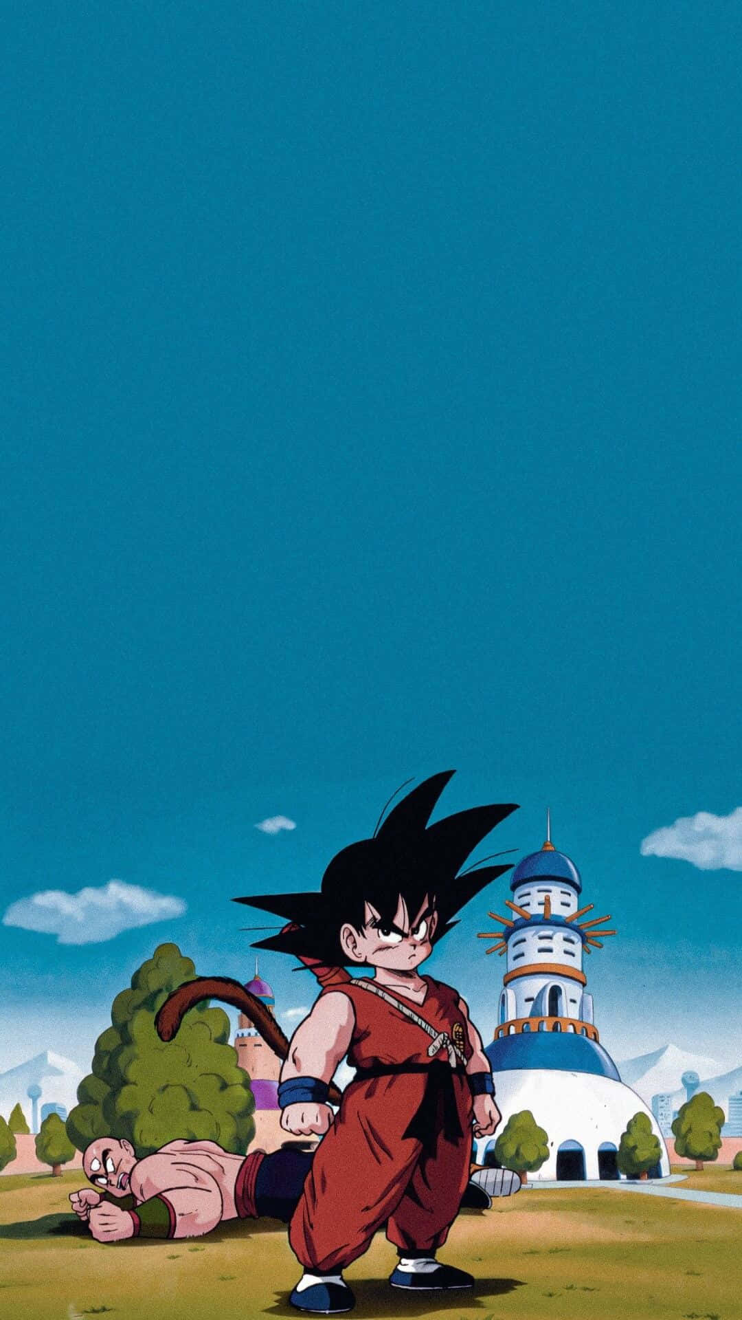 Young Hero Before Kame House Wallpaper
