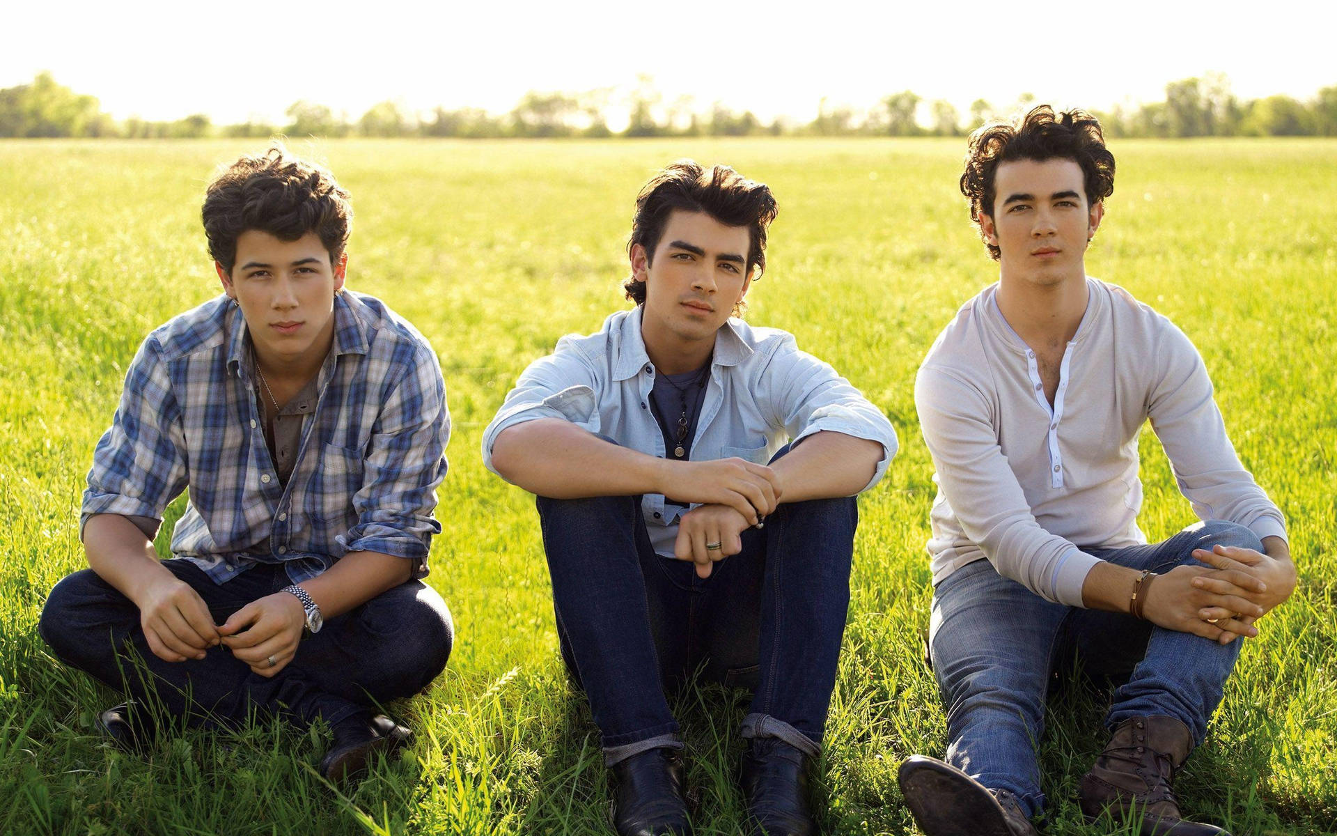 Young Jonas Brothers On Grass Wallpaper